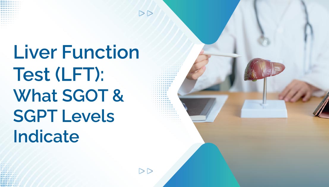 Liver Function Test (LFT): What SGOT and SGPT Levels Indicate