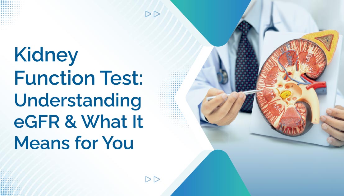Kidney Function Test: Understanding eGFR and What It Means for You