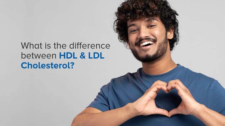 What is the difference between HDL & LDL Cholesterol?