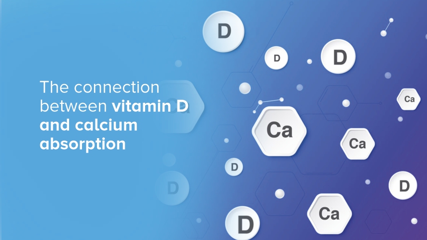The Connection Between Vitamin D and Calcium Absorption