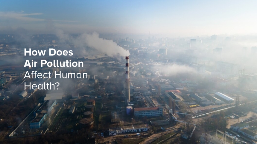 Understanding the Impact of Air Pollution on our Health