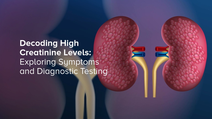 Decoding High Creatinine Levels: Exploring Symptoms and Diagnostic Testing