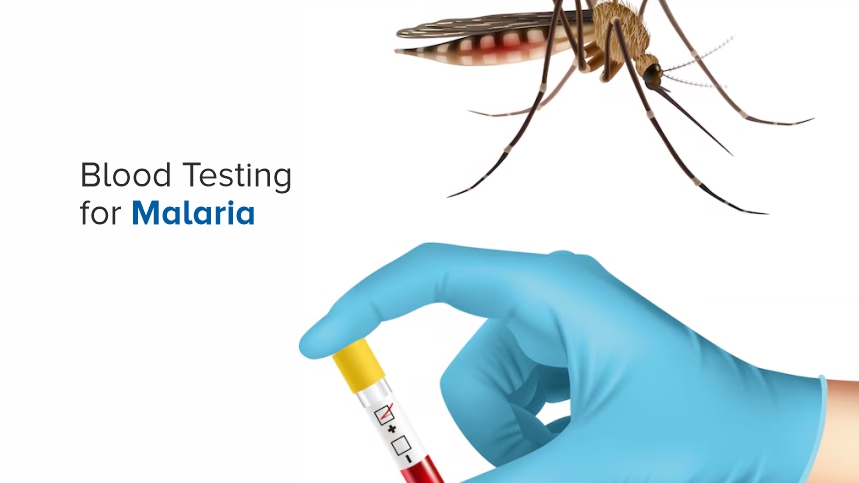 Blood Tests for Malaria: Understanding, Accuracy, and the Path to Early Detection
