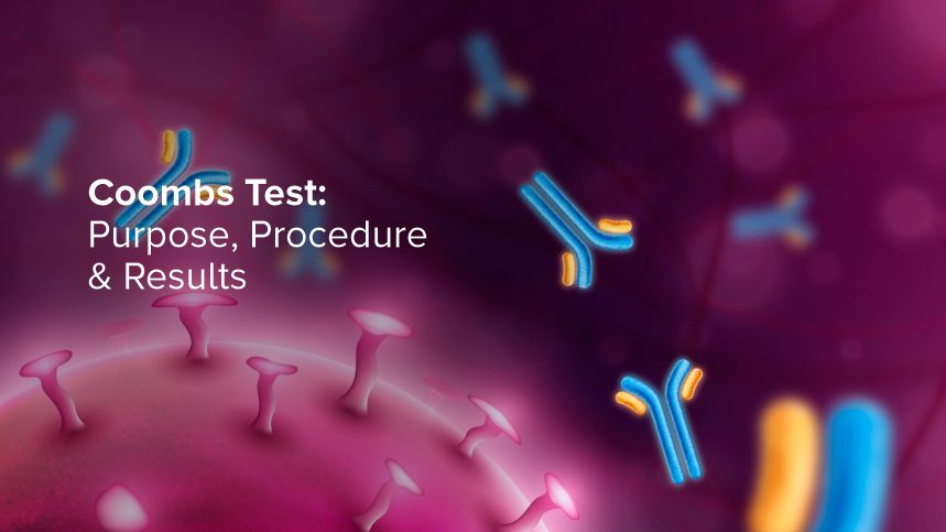 Understanding the Coombs Test: Purpose, Procedure & Results