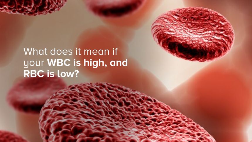 Understanding High White Blood Cell (WBC) Count and Low Red Blood Cell (RBC) Count: What It Means for Your Health