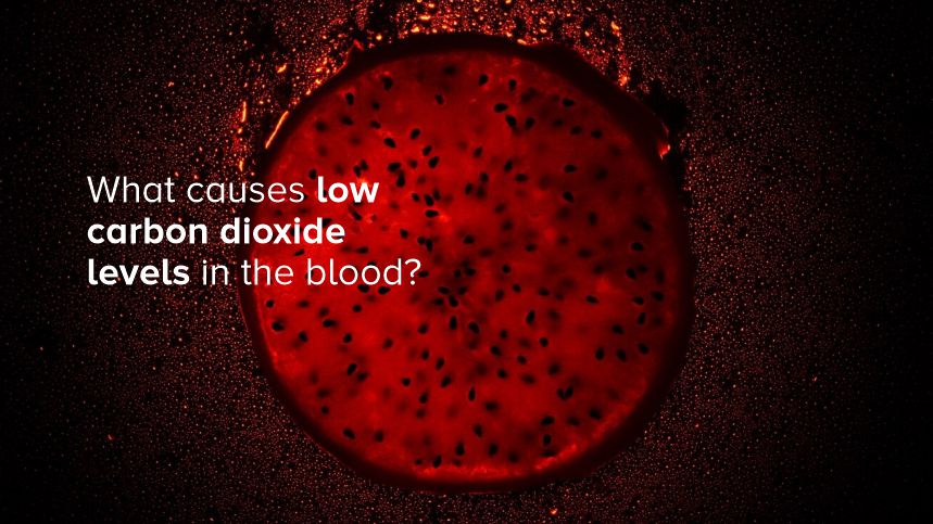 What Causes Low Carbon Dioxide Levels in the Blood?