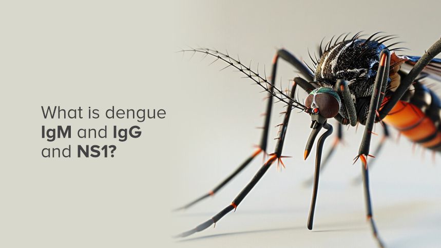 Understanding Dengue Tests IgM, IgG, and NS1 for Better Health Awareness