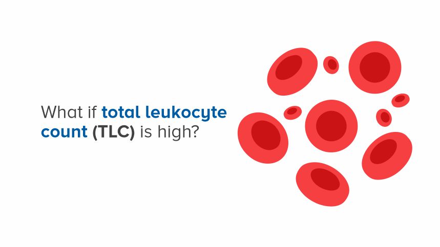 Understanding High Total Leukocyte Count and Its Implications