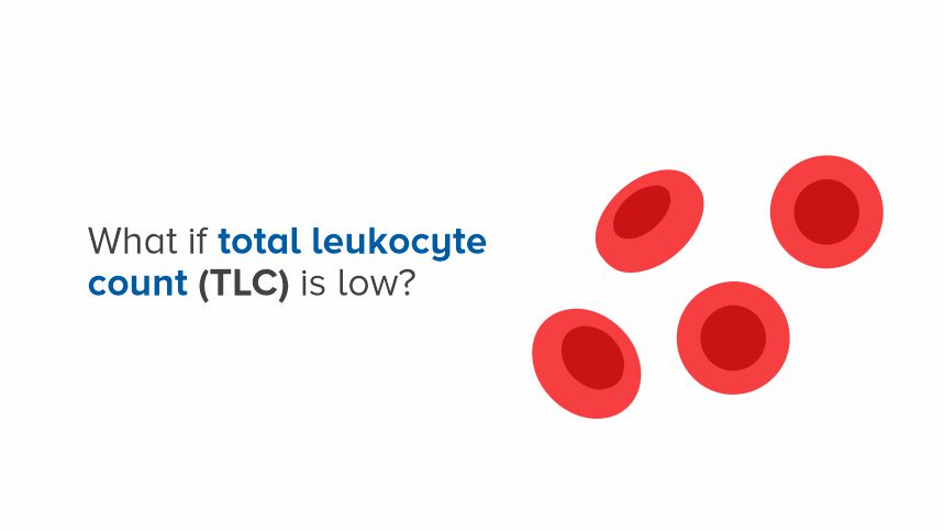 Low Total Leukocyte Count and What It Means for Your Health