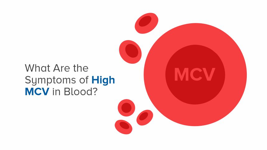 Unveiling the Hidden Signs of Elevated MCV in Blood
