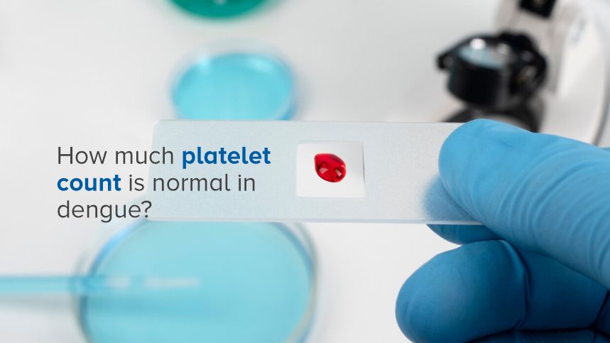 Understanding Platelets and Dengue Fever