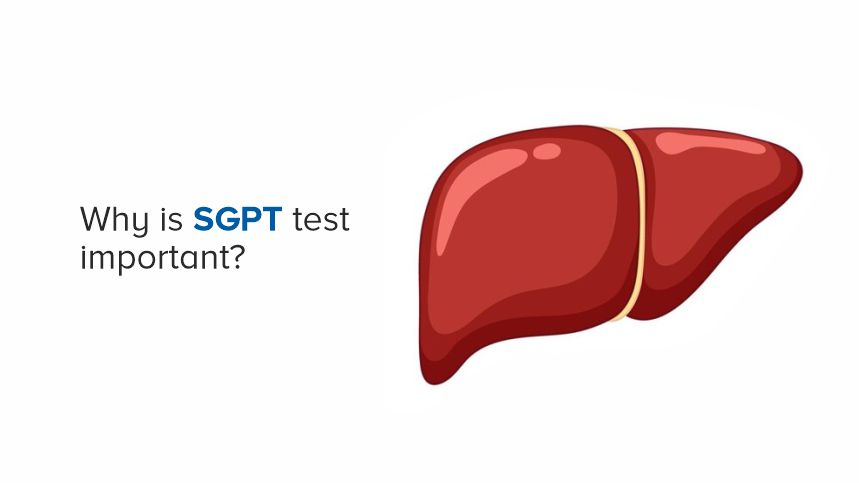 The Lifesaving Importance of the SGPT Test You Shouldn't Ignore