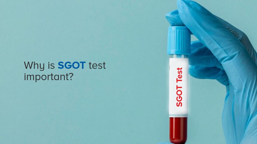 Why Knowing Your SGOT Levels Could Save Your Life