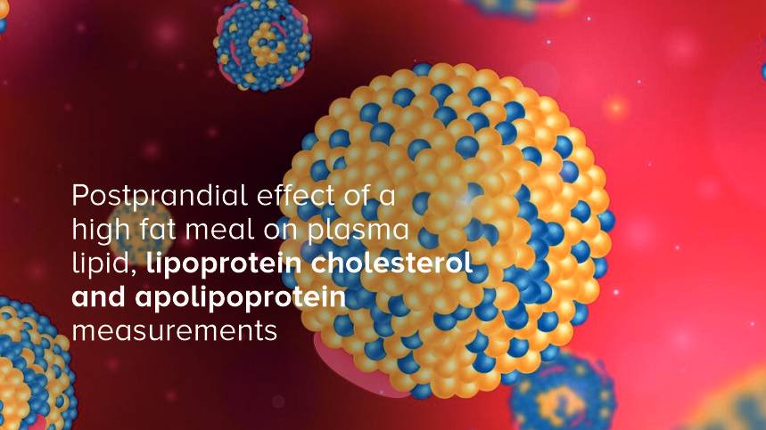 The Hidden Impact of High-Fat Meals on Your Blood Lipids