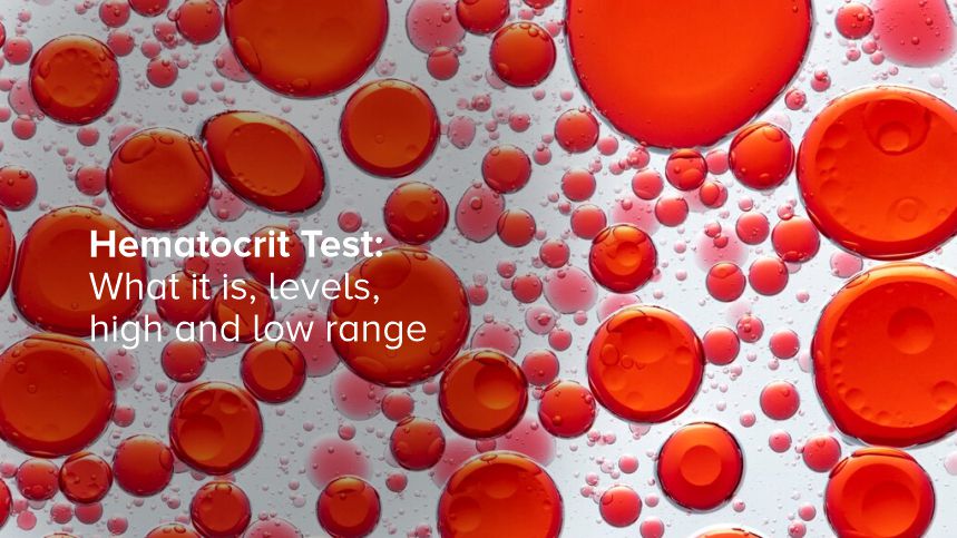 Everything You Need to Know About Hematocrit Tests and Their Importance