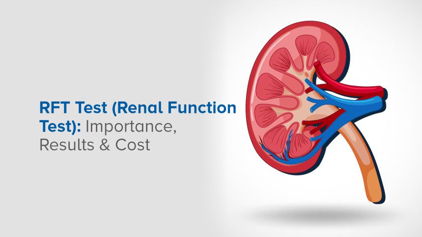 What You Need to Know About Renal Function Tests