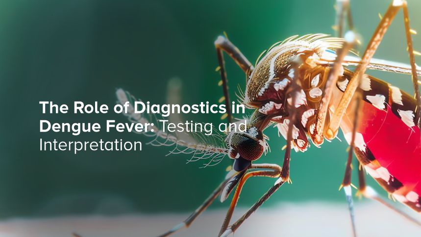 Cracking the Code of Dengue Fever Diagnosis