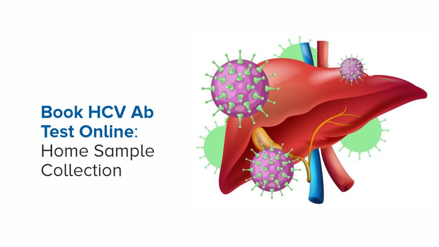 The Ultimate Guide to Booking an HCV Ab Test Online with Home Sample Collection