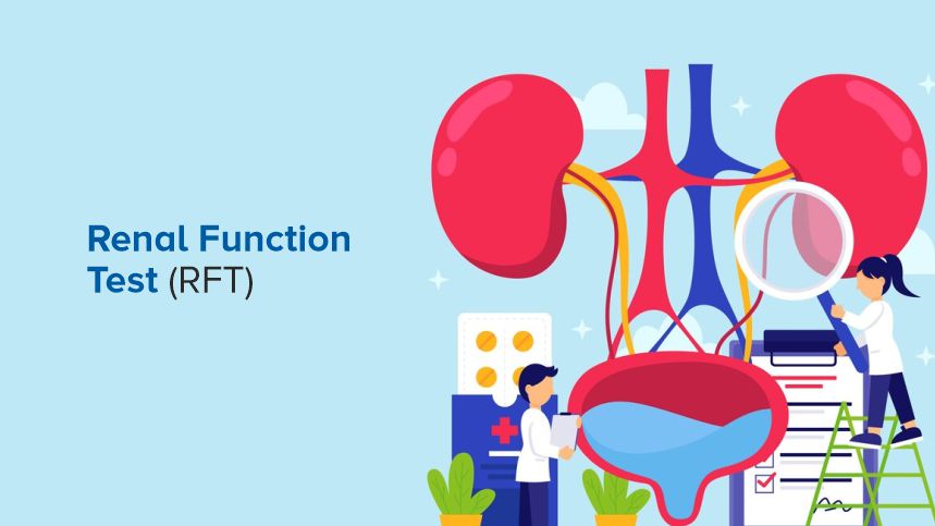 What You Need to Know About Renal Function Tests