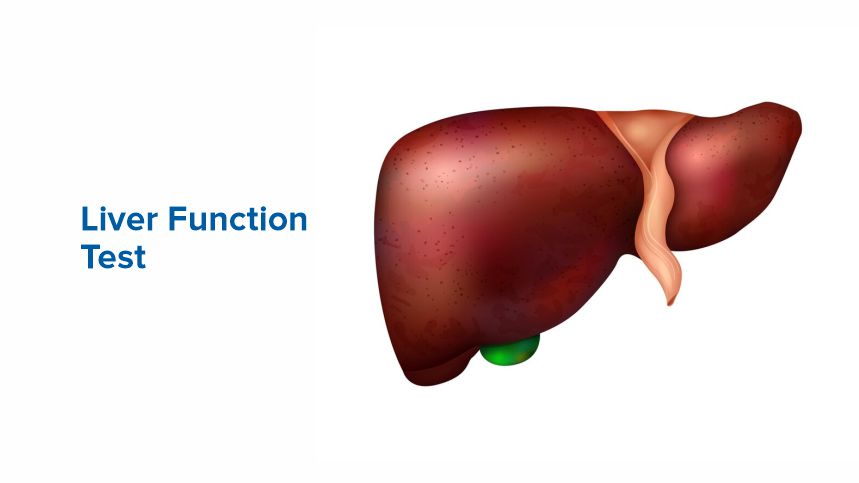 Decoding Your Liver Function Test Results for Better Health