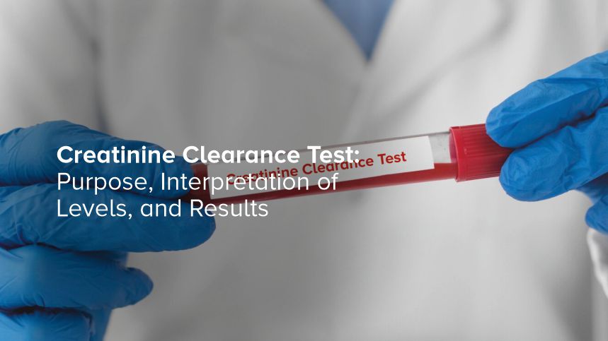 Discovering Your Kidney Health with Creatinine Clearance Tests