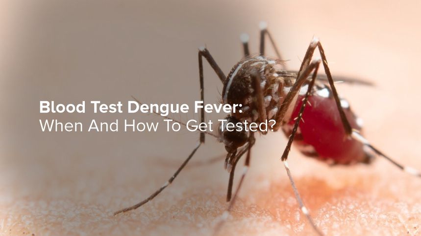 Stay Ahead of Dengue Fever with Smart Testing