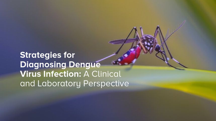 Decoding Fever Fears Understanding Dengue Virus Diagnosis