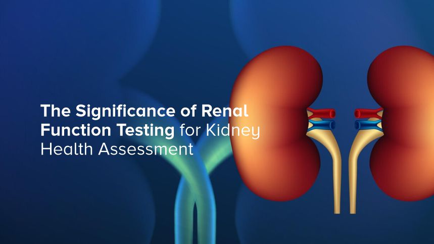 Keeping Kidneys Healthy with Essential Renal Function Testing