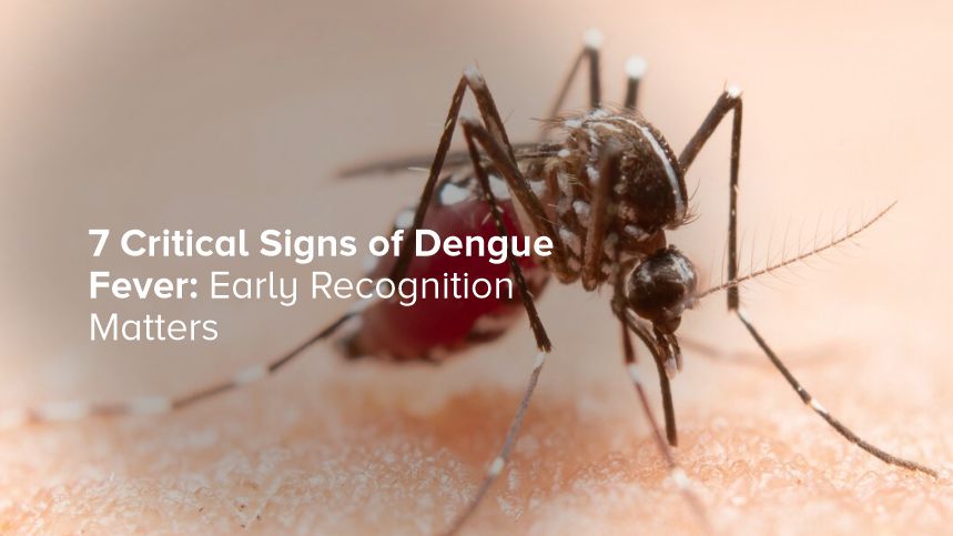 7 Critical Signs of Dengue Fever You Need to Know