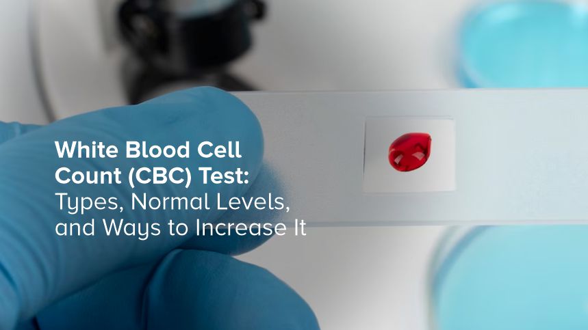 White Blood Cell (WBC) Test Guide & How to Improve Your Levels