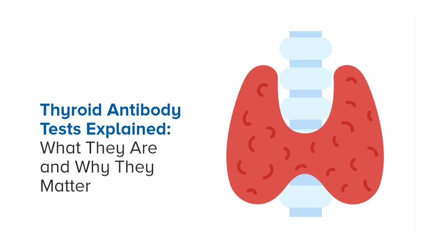 Thyroid Antibody Tests Explained