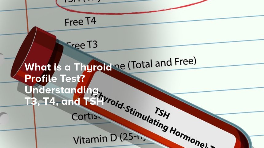 What is a Thyroid Profile Test? Understanding T3, T4, and TSH