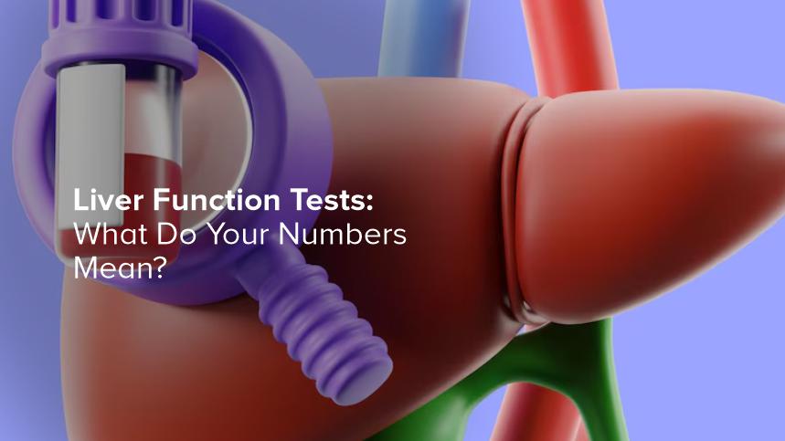 Liver Function Tests Explained: What Do Your Numbers Mean?