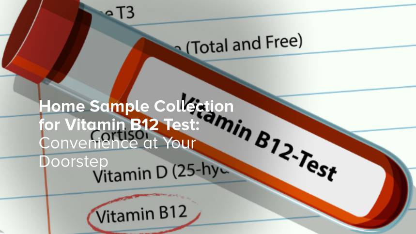 Home Sample Collection for Vitamin B12 Test: Convenience at Your Doorstep