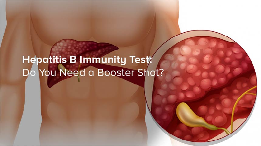 Hepatitis B Immunity Test: Do You Need a Booster Shot?