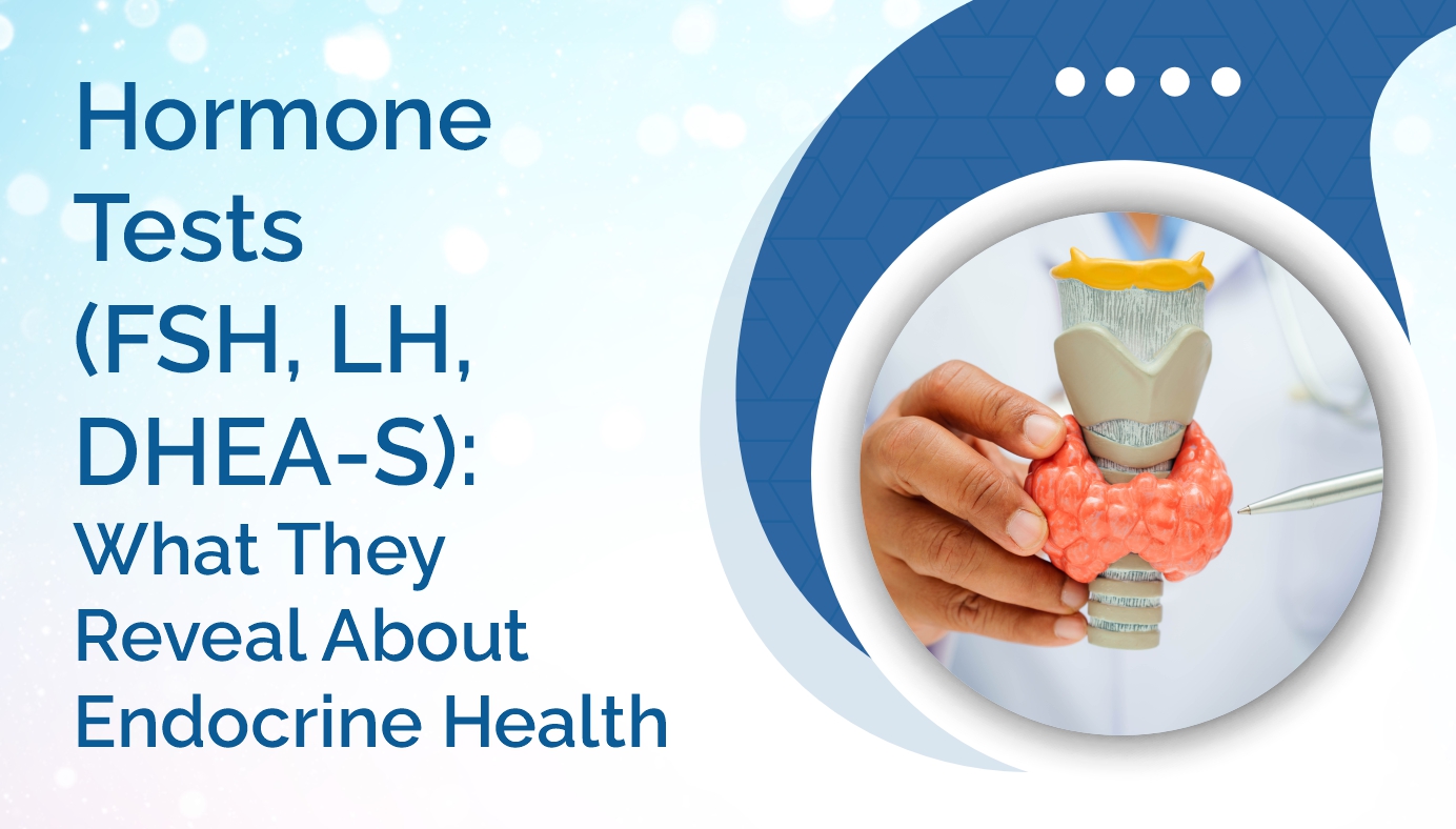 AMPATH Lab: Hormone Tests Fsh Lh Dhea S Endocrine Health